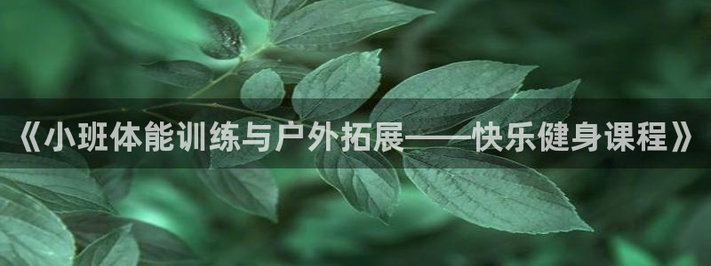 上海杏耀汽车电子有限公司：《小班体能训练与户外拓展——快乐健身课程》