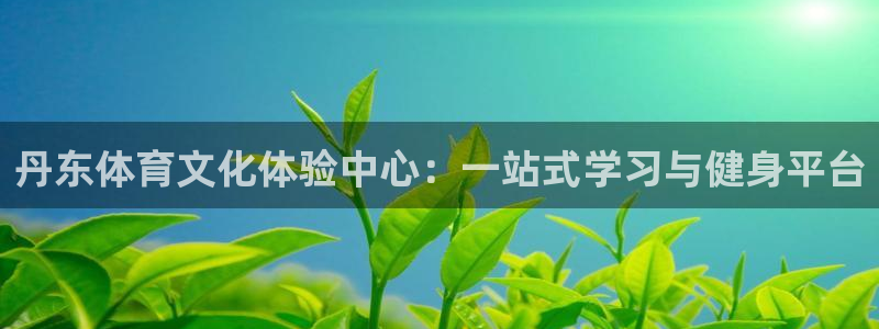 杏耀3平台注册：丹东体育文化体验中心：一站式学习与健身平台