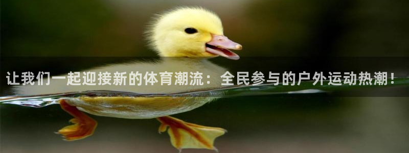 上海杏耀汽车电子有限公司：让我们一起迎接新的体育潮流：全民参与的户外运动热潮！