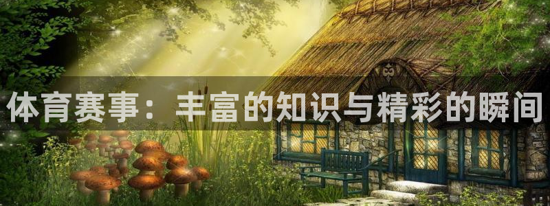 www.杏耀体育.com：体育赛事：丰富的知识与精彩的瞬间