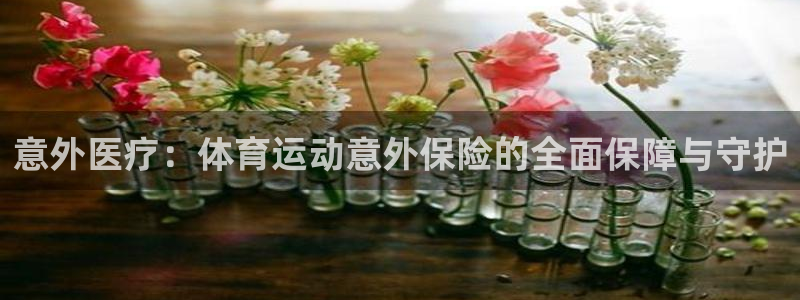 成都杏耀电子有限公司：意外医疗：体育运动意外保险的全面保障与守护
