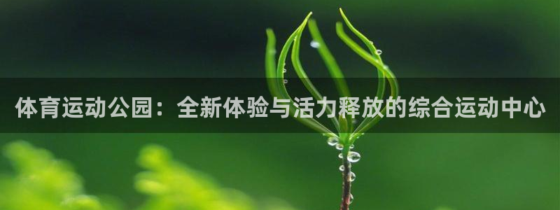 杏耀体育老板是谁：体育运动公园：全新体验与活力释放的综合运动中心