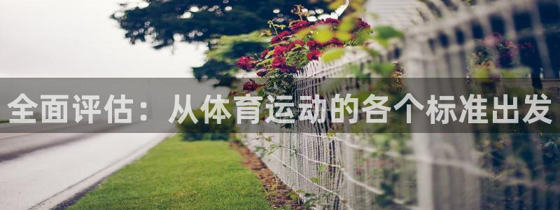 杏耀集团：全面评估：从体育运动的各个标准出发