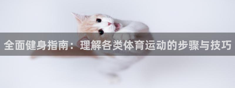 上海杏耀汽车电子有限公司：全面健身指南：理解各类体育运动的步骤与技巧