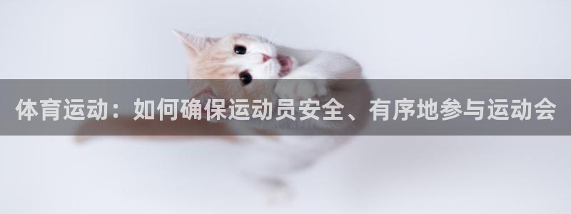 德国杏耀集团：体育运动：如何确保运动员安全、有序地参与运动会
