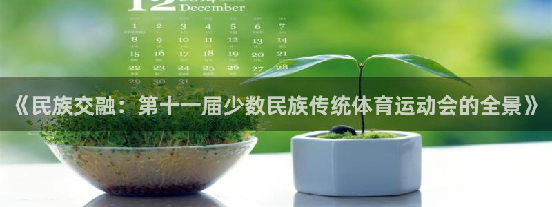 杏耀4注册：《民族交融：第十一届少数民族传统体育运动会的全景》