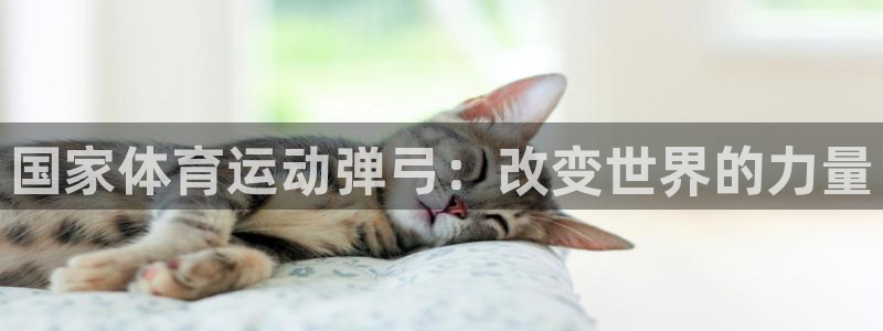 杏耀4注册：国家体育运动弹弓：改变世界的力量