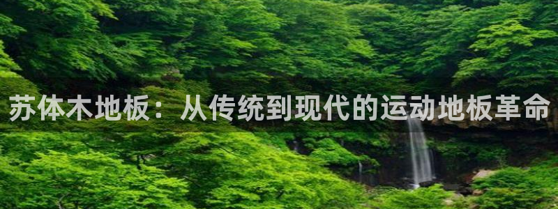 杏耀账号官网登录：苏体木地板：从传统到现代的运动地板革命