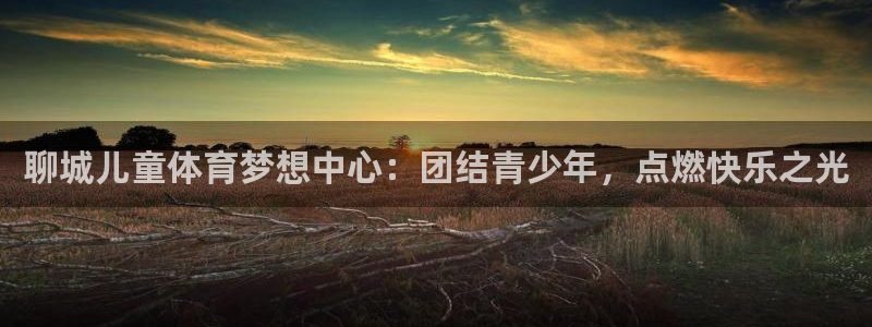 杏耀2体育：聊城儿童体育梦想中心：团结青少年，点燃快乐之光