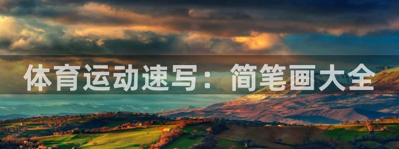 杏耀包怎么样：体育运动速写：简笔画大全