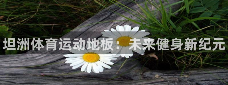 杏耀集团官网：坦洲体育运动地板：未来健身新纪元
