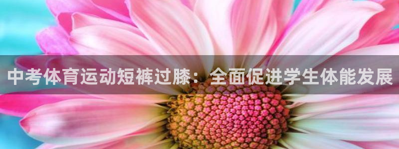 杏耀体育凯捷代理注册：中考体育运动短裤过膝：全面促进学生体能发展