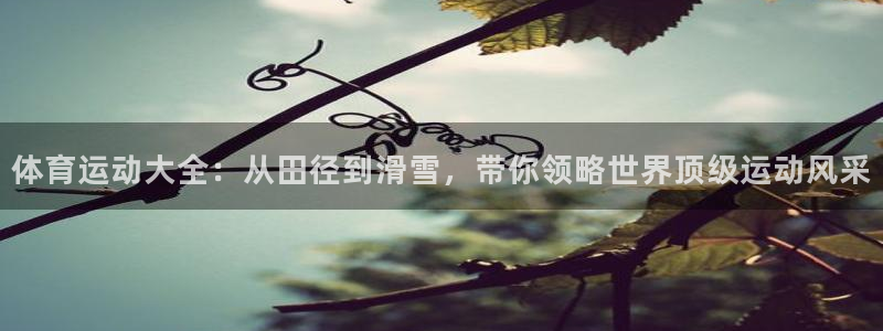 德国杏耀集团：体育运动大全：从田径到滑雪，带你领略世界顶级运动风采