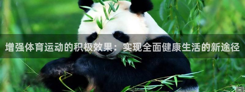 杏耀登陆：增强体育运动的积极效果：实现全面健康生活的新途径