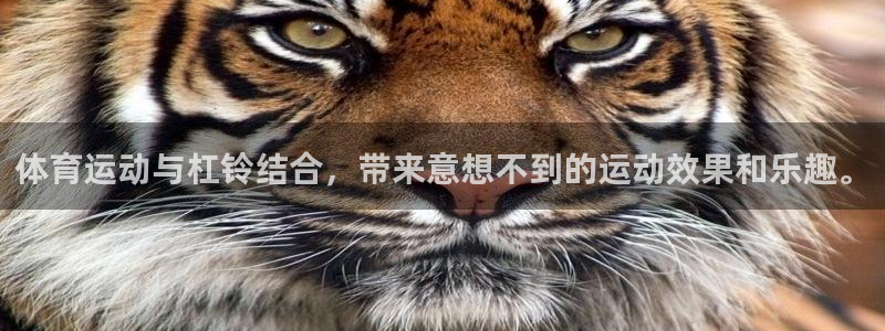 杏耀官网：体育运动与杠铃结合，带来意想不到的运动效果和乐趣。