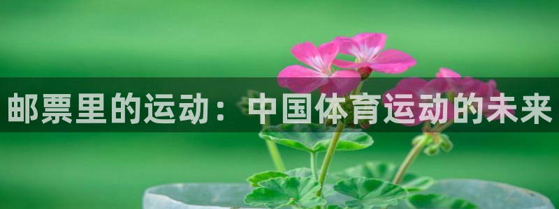 杏耀注册：邮票里的运动：中国体育运动的未来