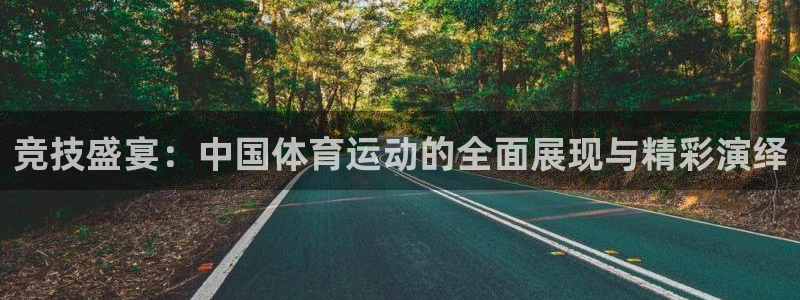 杏耀4：竞技盛宴：中国体育运动的全面展现与精彩演绎