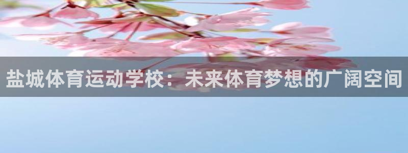 杏耀体育1招商：盐城体育运动学校：未来体育梦想的广阔空间