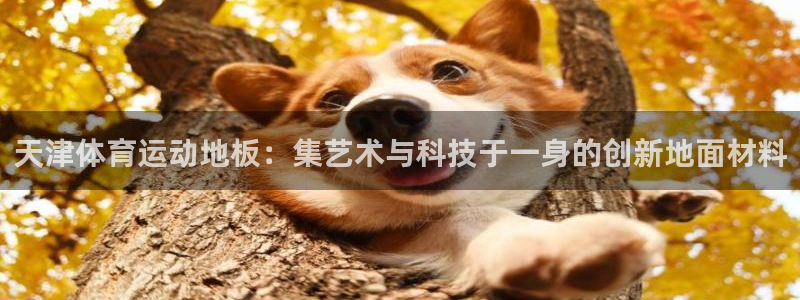 杏耀平台开户链接：天津体育运动地板：集艺术与科技于一身的创新地面材料