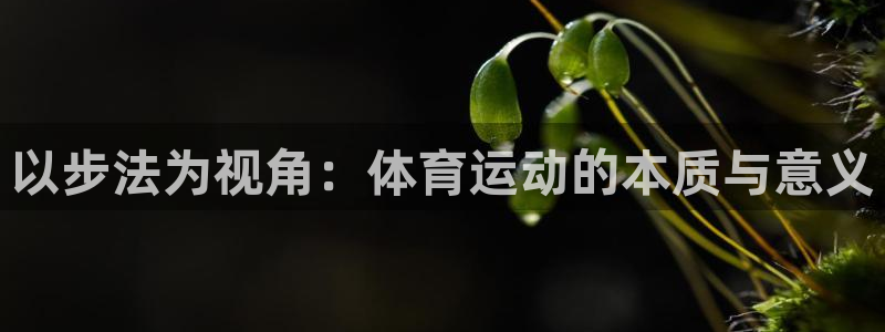 杏耀体育f开号：以步法为视角：体育运动的本质与意义