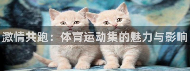 杏耀2平台注册：激情共跑：体育运动集的魅力与影响