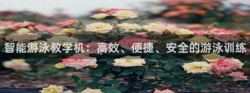 杏耀股份：智能游泳教学机：高效、便捷、安全的游泳训练